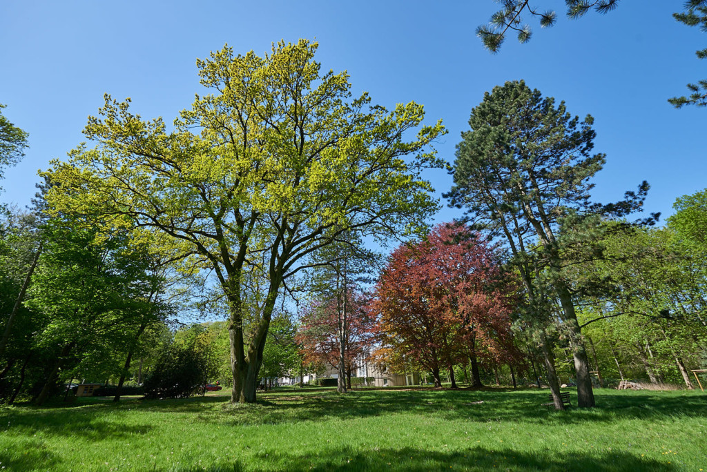 Garten der Via Mentis